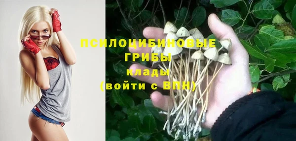 экстази Гусиноозёрск
