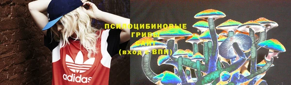 ECSTASY Дмитров